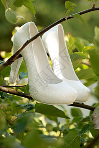 树上漂亮的婚礼鞋 很漂亮婚礼服饰皮革婚姻女性花朵魅力女士女孩脚跟图片