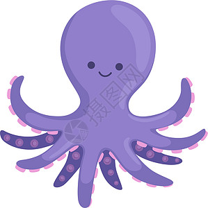 紫章鱼 有趣的海洋动物 微笑的性格图片