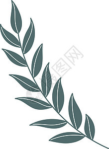 绿色树枝 装饰性草药印刷元素图片