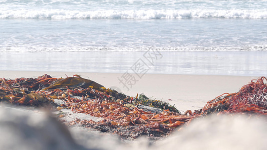 美国加利福尼亚太平洋海岸海滩上的大海浪汹涌 海带海藻冲浪蓝色破岸电影海岸壁纸海景海洋泡沫海滩图片