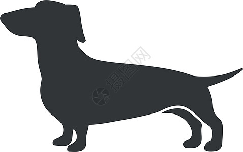 Dachshund 光环 香肠猎狗品种 长尺寸的达克施 三角犬同伴 矢量图标图片