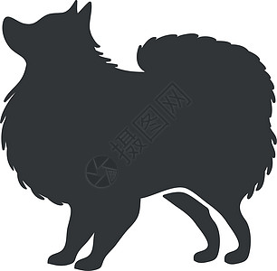 Pomeranian 环形光影 家狗尖牙 矢量图标图片