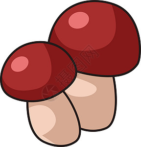 蘑菇 潘妮包子 猪肉或猪肉真菌图片