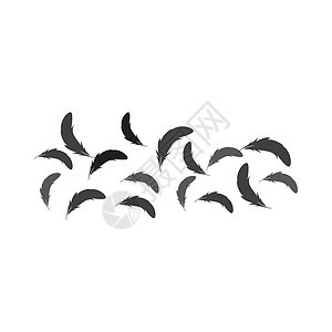 羽毛徽标墙纸翅膀风格飞行野生动物纺织品插图鹅毛艺术动物图片