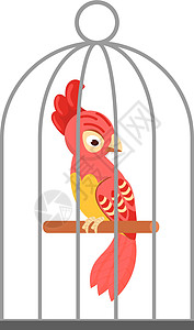 笼子里的鹦鹉 卡通风格的红异国鸟图片