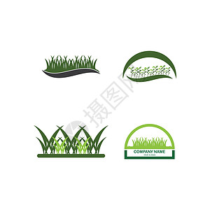 草草标志花园卡通片生态商业插图植物学芦荟生活草地环境图片