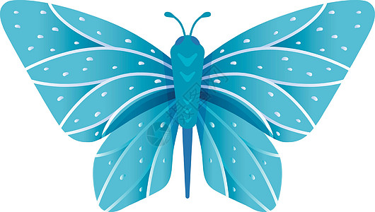 长着美丽翅膀的异形蓝蛾 夏季昆虫图片