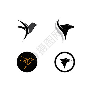 鸟类日志公司商业天空自由旅行鸽子标识翅膀推广动物背景图片