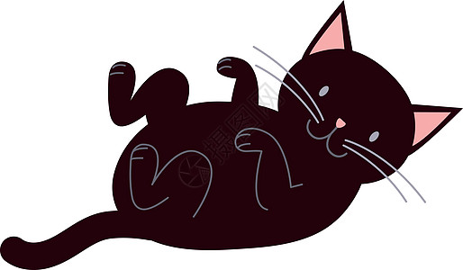 玩黑猫背靠背躺着 可爱的小猫咪宠物图片