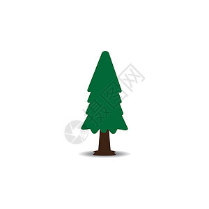 Spruce 图标植物概念环境草地云杉符号绿化生态森林树干图片