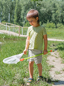 小孩子用蝴蝶网在户外散步 儿童暑假休闲活动 昆虫狩猎图片