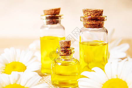 小瓶里有焦米基本油 有选择性的焦点香气芳香按摩温泉瓶子香味疗法雏菊生活草本植物图片