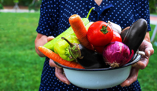 奶奶在花园里 她手里拿着蔬菜 有选择的专注点土豆水果横幅食物生长黄瓜农民乡村萝卜维生素图片