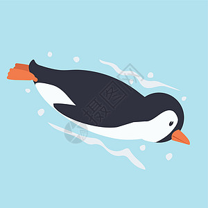 可爱的企鹅游泳卡通矢量海浪动物卡通片潜水艺术男性作品气泡插图海报插画