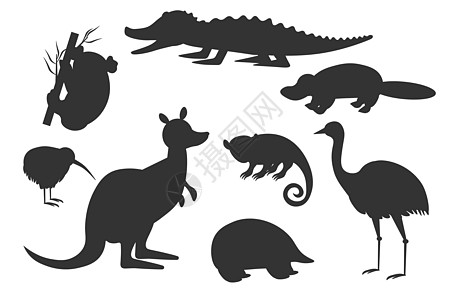哺乳动物一组澳大利亚动物的黑色光影 白色背景上的袋鼠 考拉和 矢量插图 EPS插画