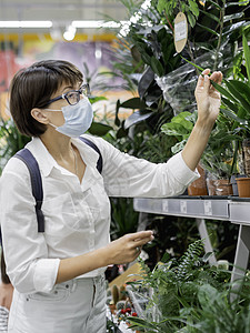 戴医疗保护面罩的妇女选择家用植物 在花店里有插苗 花卉和种子的棚屋 室内农艺市场绿色农业植物学爱好销售眼镜园林叶子肉质女性图片