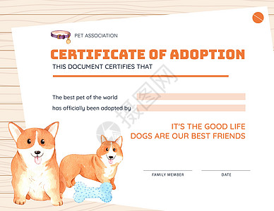 配有 Corgi Dog 概念 水彩色样式的证书模板兽医小狗牧羊人乐趣棕色广告情感哺乳动物营销漫画图片