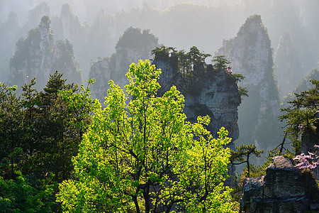 中国张家江山日落悬崖化身地标柱子岩石游客旅行风景砂岩图片