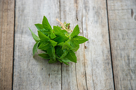 花园里的新鲜家用草药 有选择的焦点花盆菜园农业生活方式食物叶子浪费静物木头香草图片