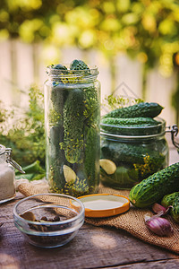 保护新鲜的黄瓜 有选择的重点蔬菜胡椒食物盐渍青菜香料女士钥匙罐头收获图片