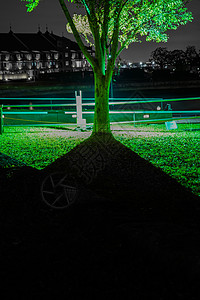 绿树的轮光片树木活动红砖场地植物夜景智能森林草原绿色图片