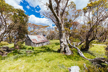 澳大利亚瀑布溪附近Wallace Hut太阳牧民天空首脑小屋地形高地历史性避难所远足图片