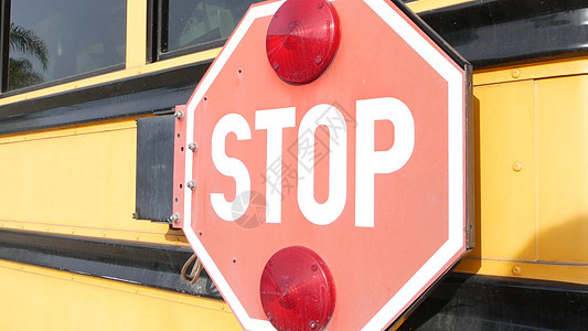 红站牌 美国黄色校车 校车或穿梭车 公路安全红色警告公共汽车指示牌学习交通乘客注意力教育民众图片