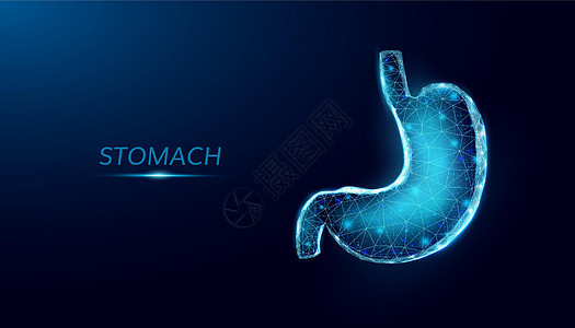 人类胃 无线框架低多功能风格 抽象的现代3d矢量图解以深蓝色背景图片