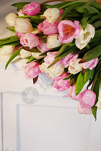 粉色和白色的郁金香花 在浅面白背景上正方形叶子植物群庆典团体花朵柔光花园艺术工作室图片