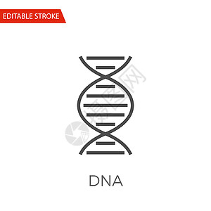 DNA矢量图标网络化学品生物学生活插图标识遗传代码克隆基因图片