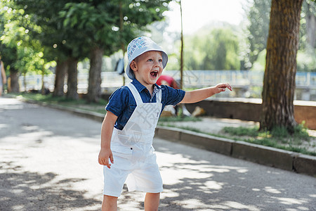 可爱男孩在户外拍照 乌克兰幸福草地季节自由森林冒充太阳童年喜悦黄色图片