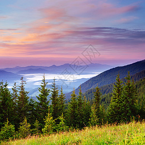 美丽的夏季山地景观 戏剧性景象 喀尔巴阡山脉天际水平蓝色森林游客假期石头仙境地平线天空图片