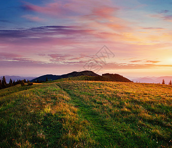 美丽的夏季山地景观 戏剧性景象 喀尔巴阡山脉森林蓝色旅行全景水平地平线绿色顶峰岩石假期图片