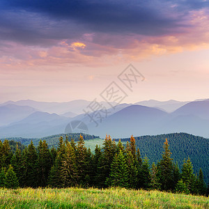 美丽的夏季山地景观 戏剧性景象 喀尔巴阡山脉水平游客顶峰绿色天际全景地平线岩石森林蓝色图片