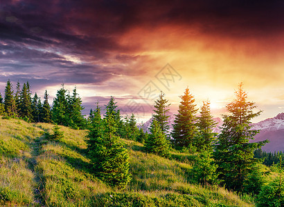 山上日落的天空多姿多彩 云彩壮丽岩石天际地平线水平森林太阳旅行地形全景顶峰图片