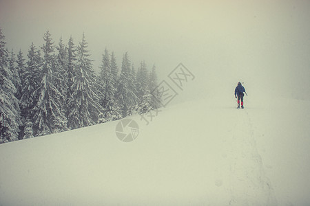 在雪山的游客 喀尔巴阡山脉 乌克兰 欧洲图片
