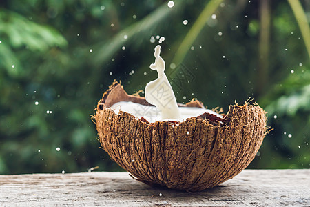 椰子果和奶水在棕榈树的背上喷出行动宏观植物水果食物坚果烹饪液体休息叶子图片