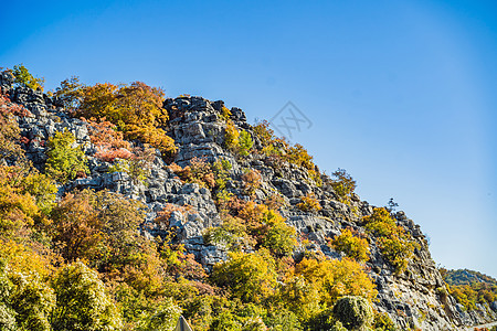黄树 道路和山区的美丽秋天景色 黑山建筑季节植物群薄雾叶子爬坡公园蓝色顶峰城市图片
