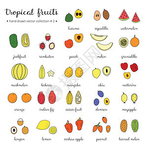 手工提取的热带水果产品市场桂圆收成食物雕刻可可橙子菠萝蜜西瓜图片