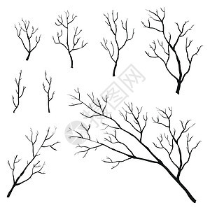 树枝和树枝黑色树干风格木头植物装饰艺术森林季节插图图片