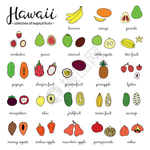 夏威夷的热带果实菠萝蜜可可绘画食物香蕉热情市场椰子星星山竹图片