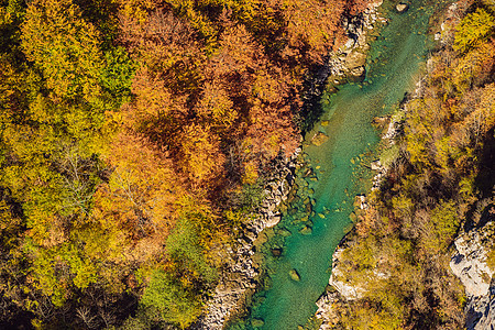 黑山的Tara山河和森林 在黑山各地旅行的概念全景地标吸引力岩石爬坡峡谷自然景观塔拉秀场石头图片