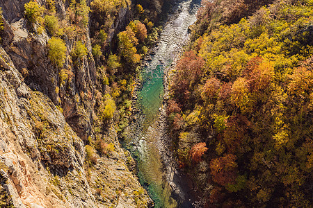 黑山的Tara山河和森林 在黑山各地旅行的概念观光木头游客旅游全景环境团体岩石蓝色娱乐图片