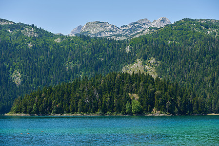 黑湖Durmitor 黑山山湖附近林林密林的陆地景观图片