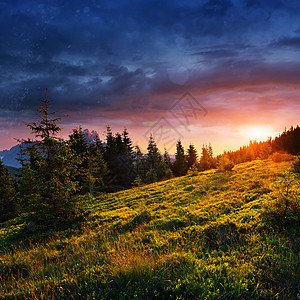 美丽的夏季山地景观 戏剧性景象 喀尔巴阡山脉森林假期地形旅行仙境水平石头岩石天际顶峰图片