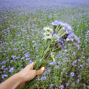 手握花花团图片