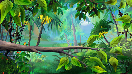 雨林中的植物 2图片