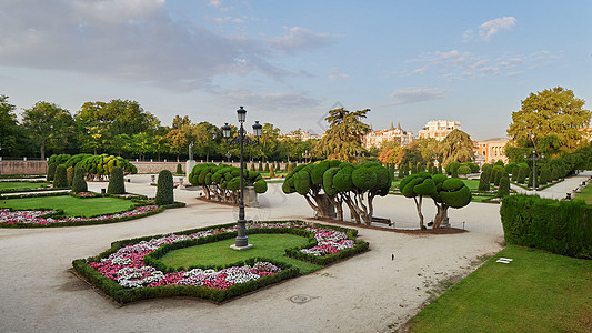 西班牙马德里 Retiro 公园花园里的树木 花卉和植物图片