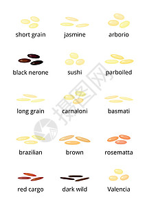 大米类型抛光美食烹饪种子食物农业餐厅营养谷物海鲜饭图片