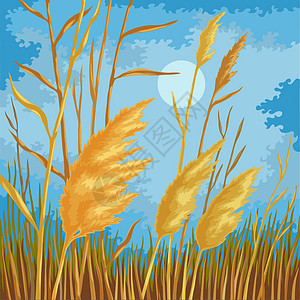 黄叶季节绘画森林杂草全景叶子蓝色甘蔗插图海浪图片